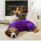 thumbnail image 2 of Bata de baño para perros de microfibra superabsorbente, bolsa de secado rápido con cinturón elástico, abrigo secador para mascotas, apto para ducha y natación - Morado - XXL, 2 of 5