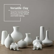 Old Potters Low Fire Clay, White – Ideal for Beginners & Professionals, Perfect for At-Home Pottery & DIY Crafts! 10 lbs