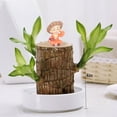 thumbnail image 5 of New Brazilian lucky wood green plant, with a ceramic tray and doll, hydroponic stump purifying indoor air, suitable for home office desk decoration and as a gift. (1pc), 5 of 10