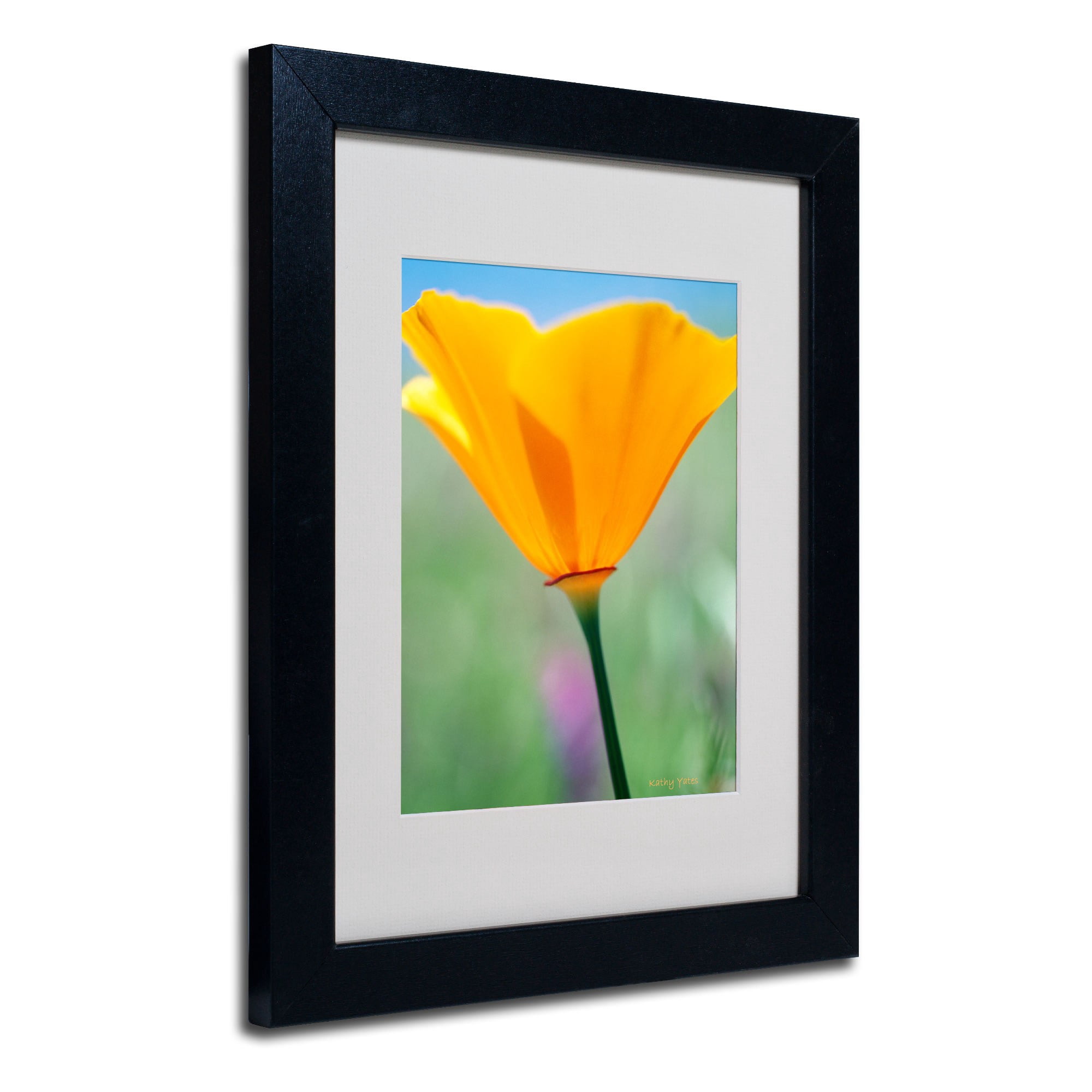 Trademark Fine Art 'California Poppy Closeup' 16" x 20" Black Frame Art (KY0031-B1620MF)