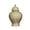 Cyan S, variant on Porcelain Ginger Jar Vase Ceramic Tea Canister Tin Embossed Design Decorative Storage for Living Room Office Cabinet
