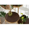 thumbnail image 6 of Kate and Laurel Fields Tri-Level Metal Plant Stand, Walnut Brown and Gold, Decorative Hinged Tray Stand Display, 6 of 6