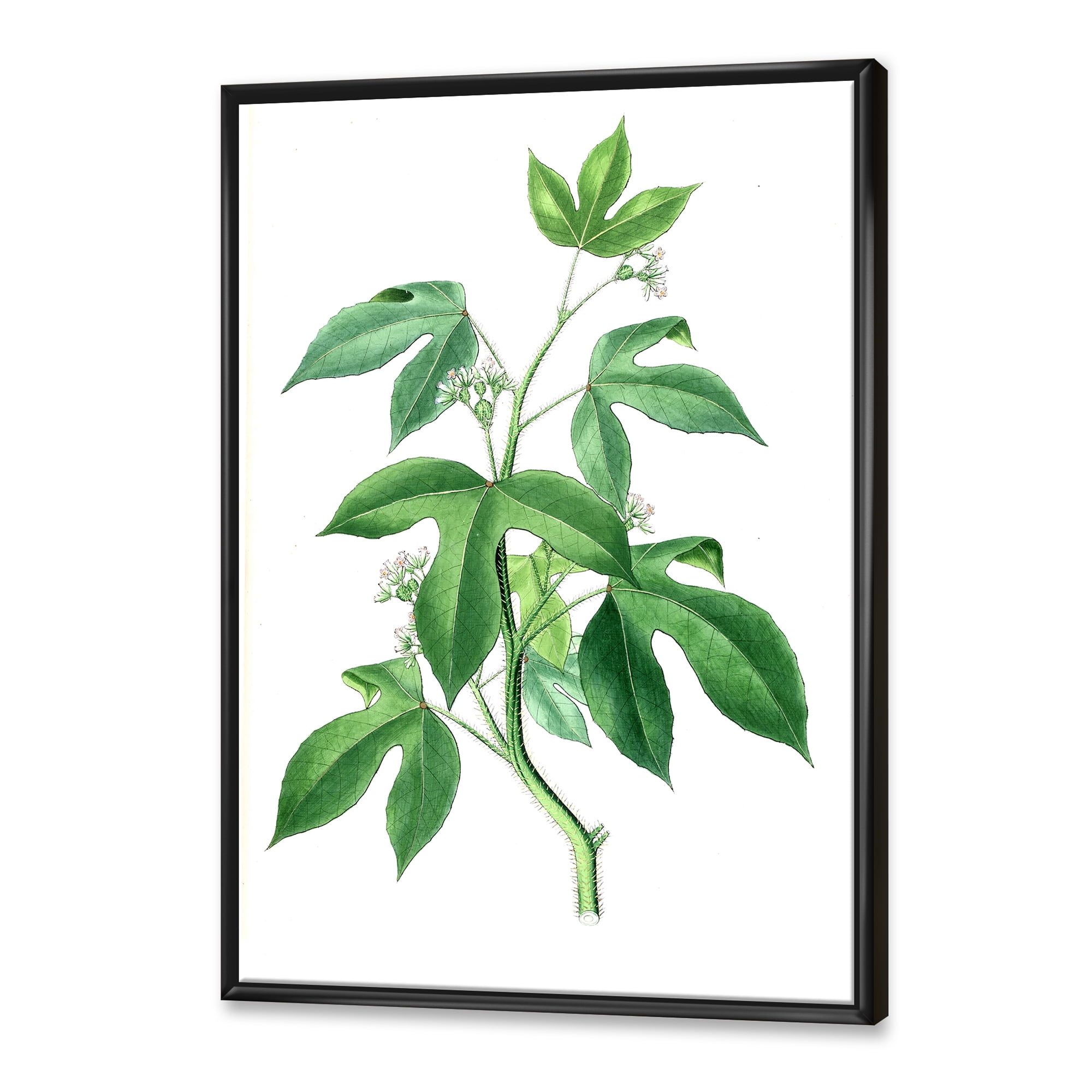 Designart 'Ancient Green Leaves Plants V' Traditional Framed Canvas Wall Art Print