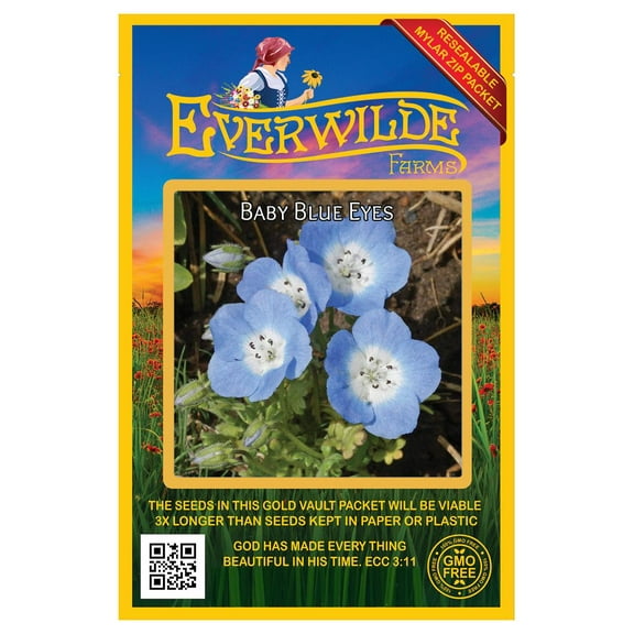 Everwilde Farms - 1000 Baby Blue Eyes Native Wildflower Seeds - Gold Vault Jumbo Bulk Seed Packet