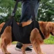 thumbnail image 3 of Arnés De Chaleco Para Perros Arnés De Elevación Para Perros, 3 of 8