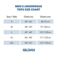 thumbnail image 3 of Gildan T-Shirts à Col en V pour Hommes Multipacks, 3 of 4