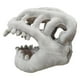 thumbnail image 1 of Máscara de esqueleto de dinosaurio para Halloween, accesorio para cosplay, máscara para adultos, sombrero, 1 of 5