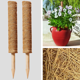 thumbnail image 2 of 2 piezas de 11,8 pulgadas, postes de musgo, soporte de estaca para plantas trepadoras, palitos de tó CACAGOO andamio de crecimiento, 2 of 7