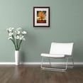thumbnail image 3 of Trademark Fine Art "Tout Feu" Canvas Art by Philippe Sainte-Laudy, Wood Frame, 3 of 3