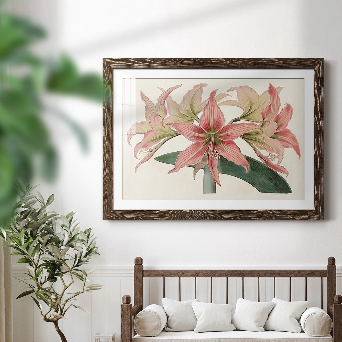 Amaryllis Varietals I-Premium Framed Print - Ready to Hang