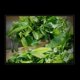 thumbnail image 2 of Banghai Pu'er Puerh Ripe Tea Metal Box Package Yunnan Big Leaves Tea for Office Home, 2 of 4