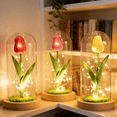 thumbnail image 3 of FTCBJJA Preserved Artificial Tulip in Glass Dome with LED Lights, Handmade Flower Accent Light with Glass, Perfect Gift for Mom,Women&Wife, Romantic Home Decor, Red, 3 of 5