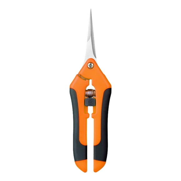Garden Tool Storage Gardening Scissors Pruning Scissors Fruit and Vegetable Scissors Fruit Tree Pruning Tree Pruning Grape Picking Fruit Pruning Garden Tools
