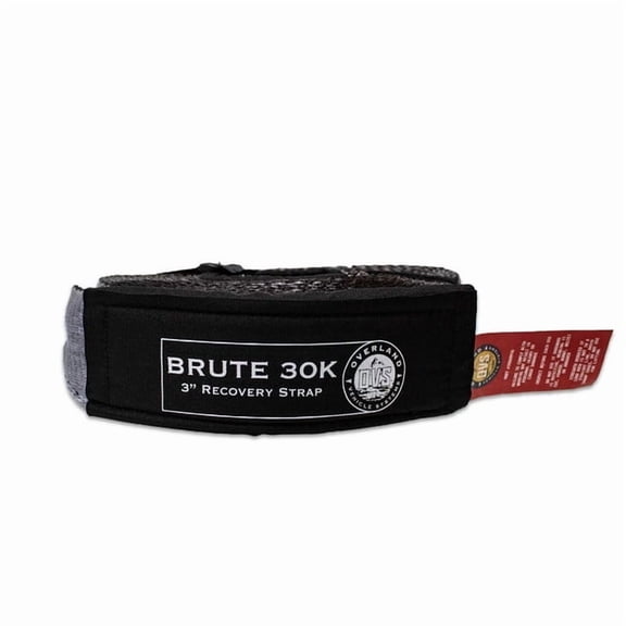 Tow Strap 30,000 lb. 3" x 30' Gray With Black Ends & Storage Bag