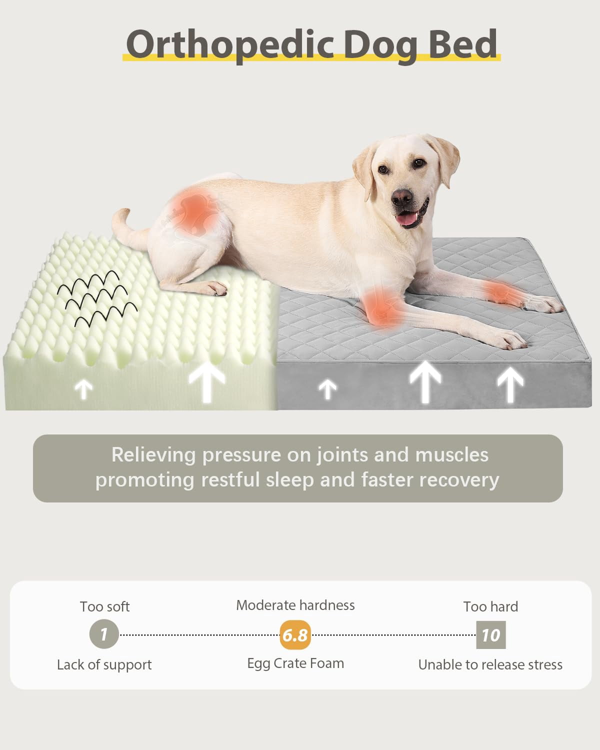 Extra Large Dog Bed Light Gray 41"L x 27"W x 3.5"Th Orthopedic Waterproof with Removable Cover