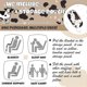 thumbnail image 2 of unique Brown Cow Printed Blanket with Cow Storage Pouch,300 Double Sided Outdoor Lap, 2 of 5