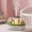 Garden, variant on Snow Village Raindrop Diffuser, Essential Oil Diffuser Cool Mist Humidifier