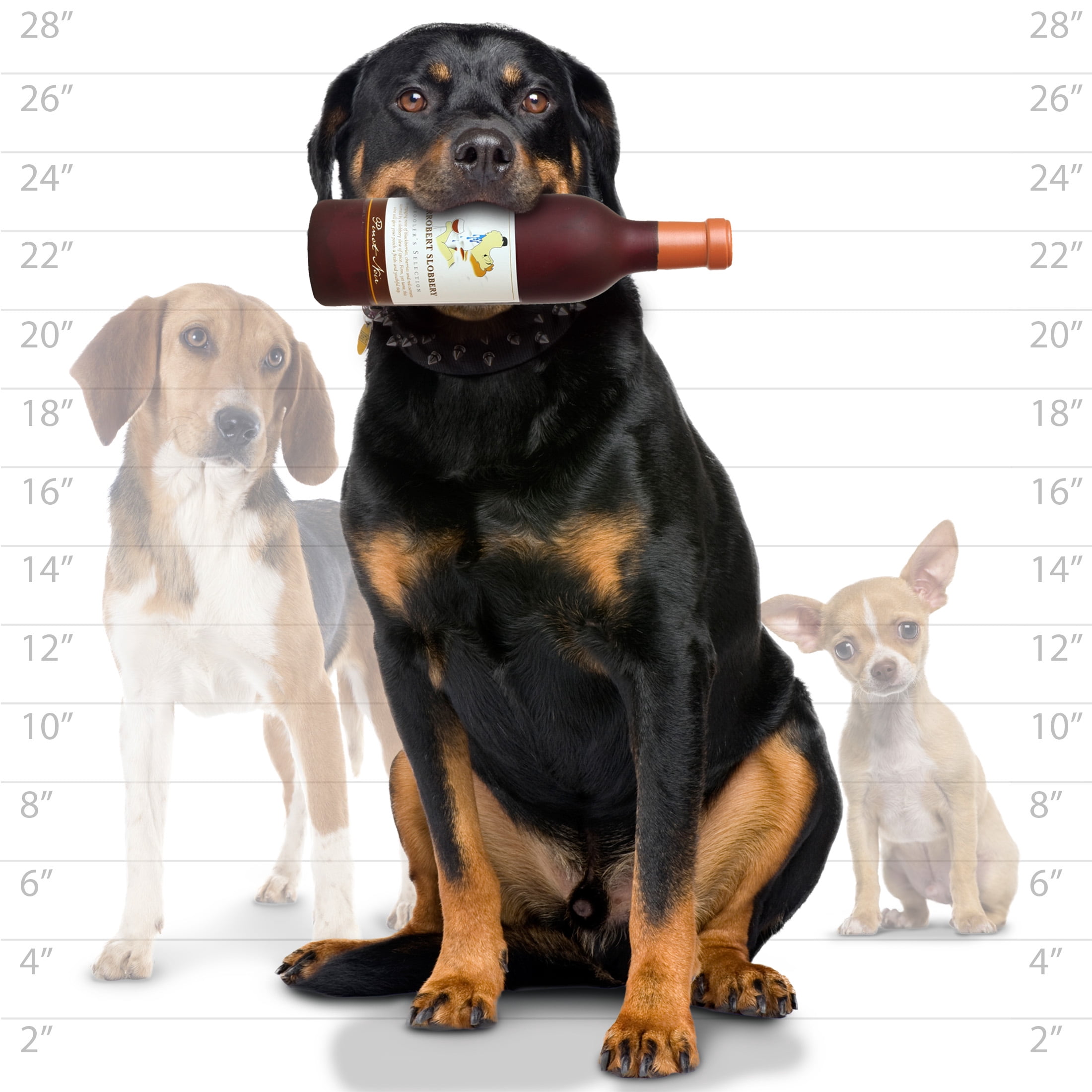 Silly Squeaker Wine Bottle Grrrobert Slobbery Durable Squeaky Vinyl 2-Pack Dog Toy