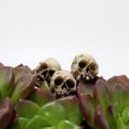 thumbnail image 3 of Adornos Jardín Al Aire Libre Paisajismo Creativo Del Patio Del Arreglo Calaveras Balcón (Estilo B) [juego 20 Calaveras], 3 of 9