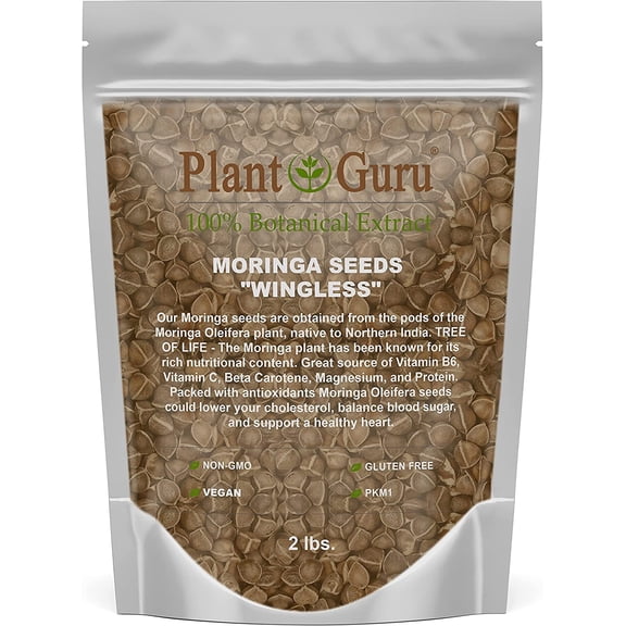 Moringa Seeds Wingless 2 lbs. - PKM1 Variety - Edible Snacking - Planting - Moringa Oleifera - Malunggay - Semillas De Moringa - Drumstick Tree - Non-GMO - 3200 to 4000 Seeds