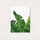 thumbnail image 2 of Cuadro moderno al óleo sobre lienzo con hojas de plantas tropicales sin marco, ideal para el hogar. L, 2 of 9