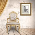 thumbnail image 3 of Babbitt, Gwendolyn 20x24 Gold Ornate Wood Framed with Double Matting Museum Art Print Titled - Water Closet II, 3 of 4