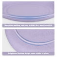 thumbnail image 2 of Dinner Plates The Dish Dessert Ceramic Fruit Tray Platter Unbreakable Straw Degradable 10 Pcs, 2 of 6