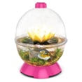 thumbnail image 7 of WonderBubble, 7 of 7