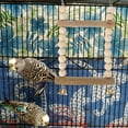 thumbnail image 5 of Bird Cage Toy Decoration Peony Parrot Gnawing Swing Colorful Bite String Rope Stand Pole The Wooden, 5 of 6