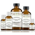 thumbnail image 3 of Fresh Ginger (Root) Essential Oil 10 ml 100% Pure Undiluted Therapeutic Grade For Skin, Body and Hair Growth. Perfect for DYI Soap Making and Aromatherapy Diffuser., 3 of 3