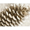 thumbnail image 2 of Stellar Design Studio 32x26 White Modern Wood Framed Museum Art Print Titled - Snowy Pinecone, 2 of 4