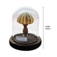 thumbnail image 2 of Wzzjkit Easy DIY Seashell Nightlight Kit Non Finished Produc, 2 of 4
