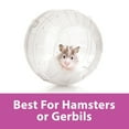 thumbnail image 5 of Kaytee Run-About Ball for Hamsters, Gerbils and Other Small Animals, Clear 7 Inches, 5 of 11