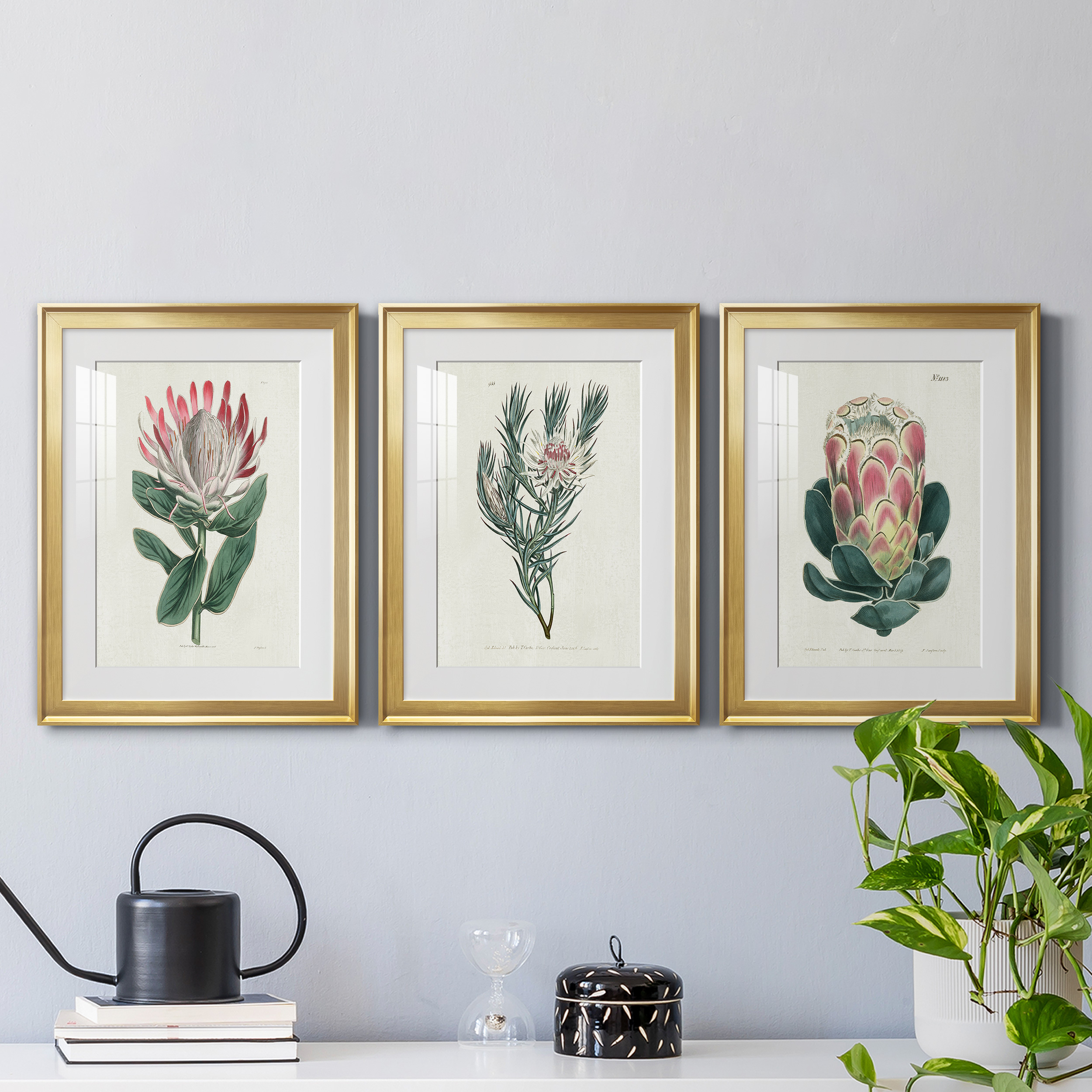 Protea N13 Premium Framed Prints Set of 3 - Ready to Hang - 22 x 30 Each - Gold Frame