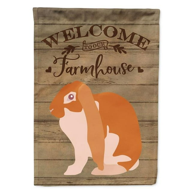 Carolines Treasures CK6906CHF English Lop Rabbit Welcome Canvas House Flag - 28 x 0.01 x 40 in.