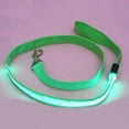 thumbnail image 2 of Opolski LED Dog Leash Glow in The Dark  Pet Dog Glow LED Flashing Light Nylon Safety Anti-lost Leash Lead Rope Belt  for Pet Products Dog Accessories, 2 of 8