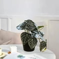 thumbnail image 5 of Pklyzj Clearance Simulation Fittonia Verschaffeltii Pot Home Living Room Decoration Pot Fresh Small Green Plant Fake Plants Grocery & Essentials, 5 of 6