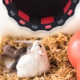 thumbnail image 4 of Hamster Wheel Toys Exercise Running Toy Chinchilla Chew Cage Guinea Pig Accessories Wooden Saucer Gerbil Hedgehog Pets, 4 of 10