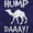 Purple, variant on Hump Day Camel Wednesday Weekday Unisex Plus Fleece Graphic Hoodie Brisco Brands 2X