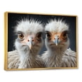 thumbnail image 2 of Designart "Graceful Shadows Of An Ostrich Couple II" Ostriches Floater Framed Wall Decor, 2 of 5
