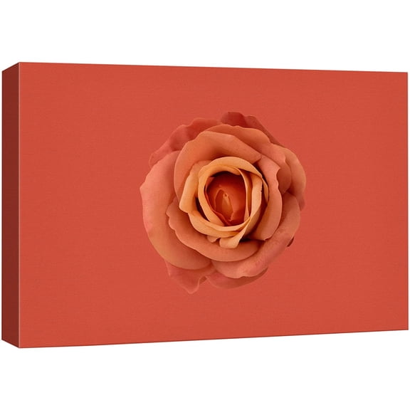 wall26 Canvas Print Wall Art Deep Burnt Orange Rose Flower Close Up Nature Floral Photography Realism Botanical Wilderness Zen Rustic Colorful Decorative for Living Room, Bedroom, Office - 12"x1