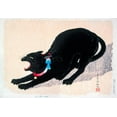 thumbnail image 2 of Takahashi, Hiroaki 24x18 White Modern Wood Framed Museum Art Print Titled - Black Cat Hissing, 2 of 4