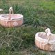 thumbnail image 2 of Cesta de almacenamiento Cesta de comida Cesta de mimbre de ratán Cesta de huevo Regalo portátil Picnic Fruta Bambú tejido pequeño esquí esquí Gafas de esquí, 2 of 5