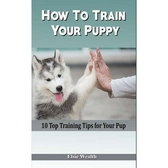 How To Train Your Puppy: 10 Top Training Tips for Your Pup (Paperback)