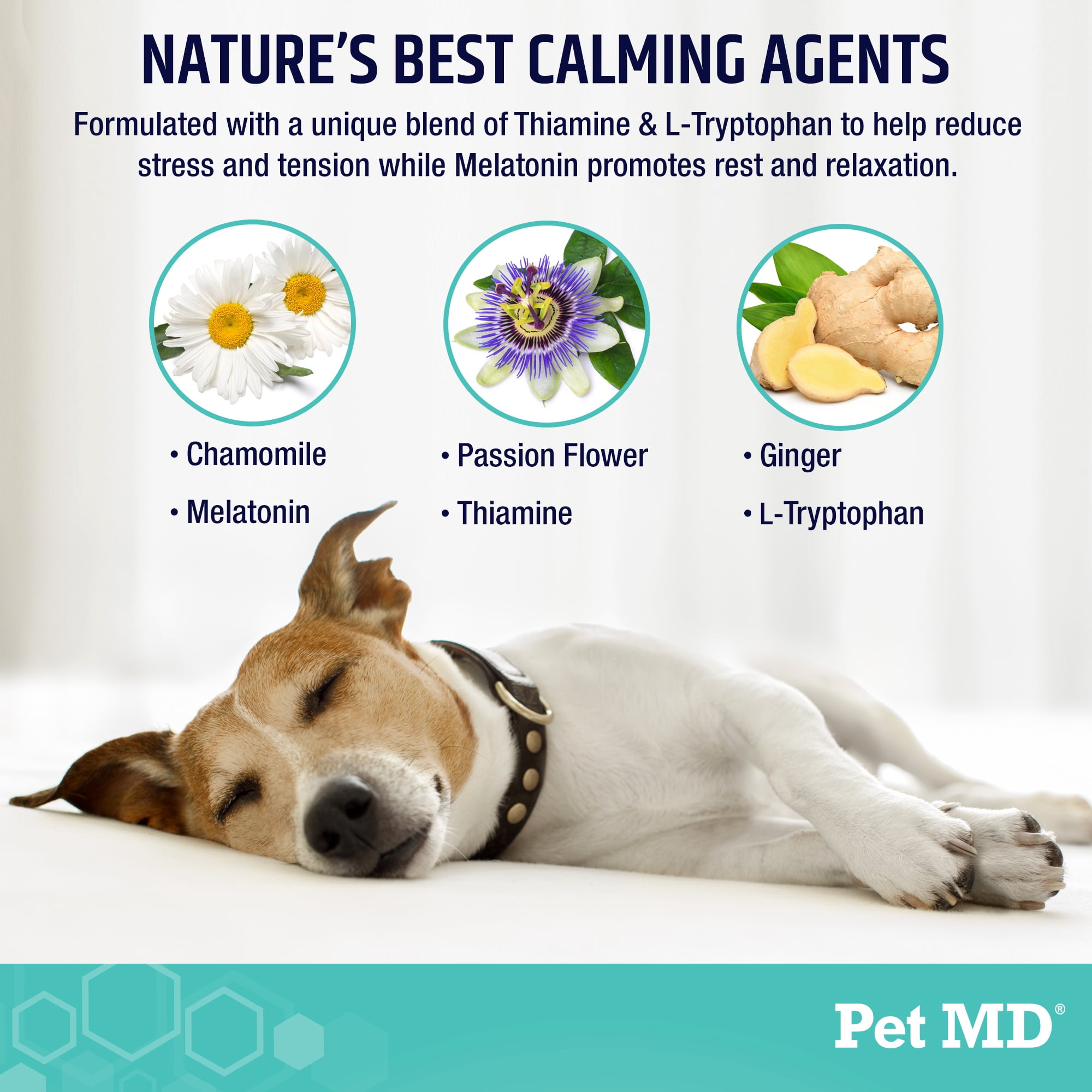 Pet MD Calming Chews for Dogs, 60 ct