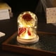 thumbnail image 4 of Farol de Ornamentos de Rosas | Cubierta de vidrio de flores secas inmortales | Luz LED romántica | Regalo de San Valentín Duradero | Marrón Blanco | 6,1x3,35 pulgadas | Cinta decorativa, 4 of 6