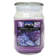 Citi-Lites 18 Ounce Apothecary Jar-Lilac Blossom (Pack of 3)