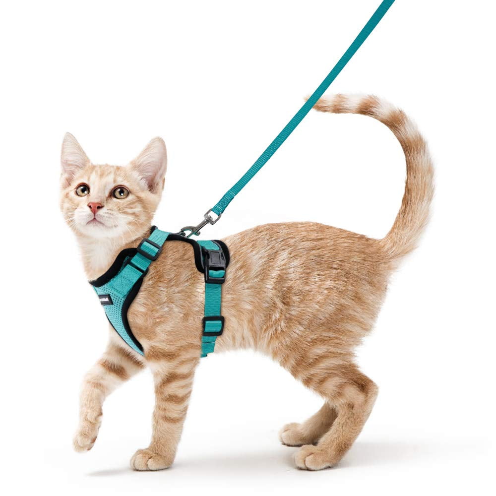 Rabbitgoo Cat Harness and Leash Set for Walking,Escape Proof with 59