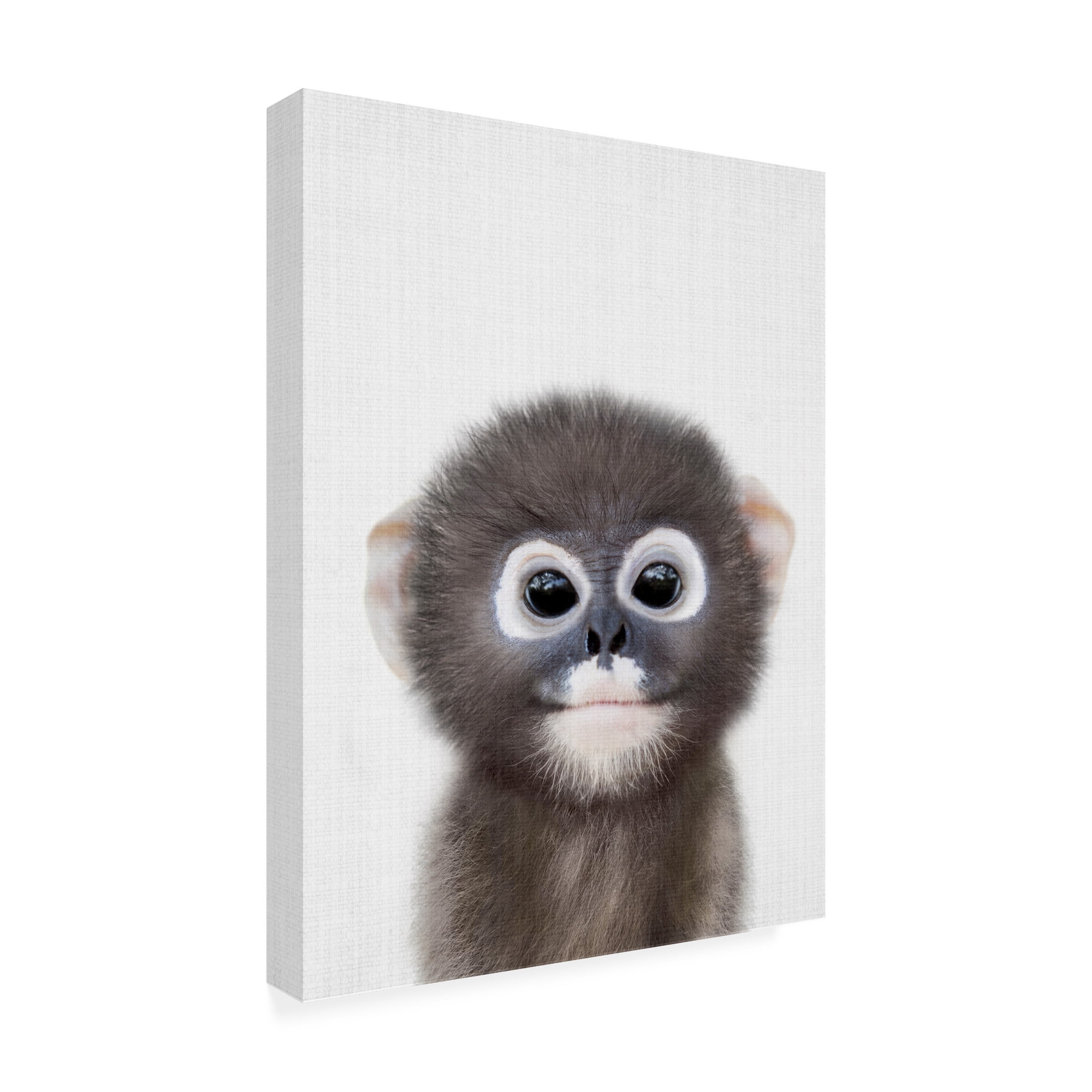 Lola Peacock 'Peekaboo Baby Monkey' Canvas Art