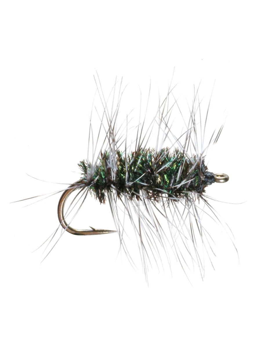 6 pcs size 20 Griffith/'s Gnat